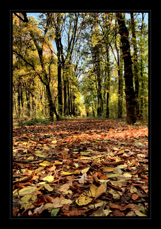 Berek-jeseň HDR